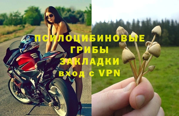 первитин Покровск