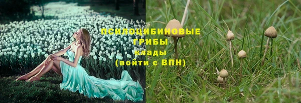 2c-b Покров
